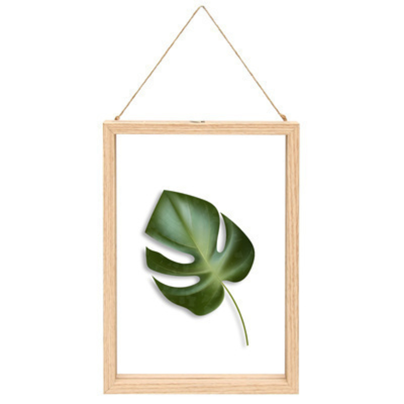 Fallen Fruits Large Palm Leaf Floating Frame